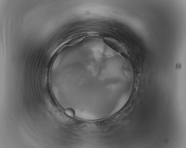 X0000111820194200908131530