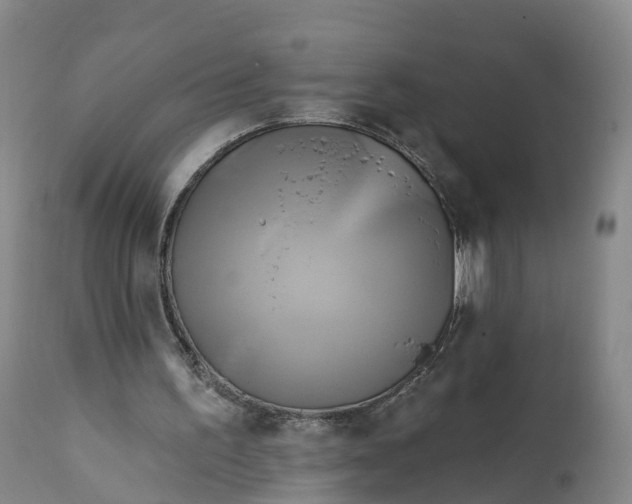 X0000111820195200908131530