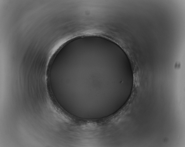 X0000111820196200908131530