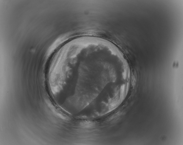 X0000111820198200908131530