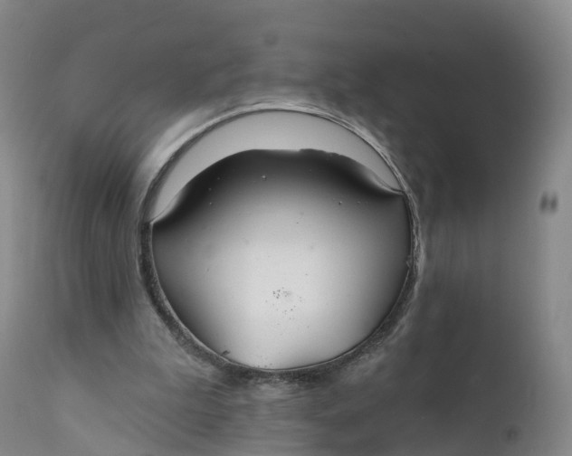 X0000111820199200908131530