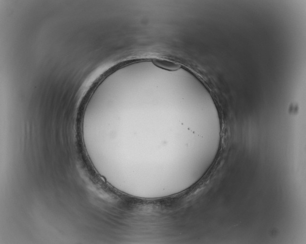 X0000111820200200908131530