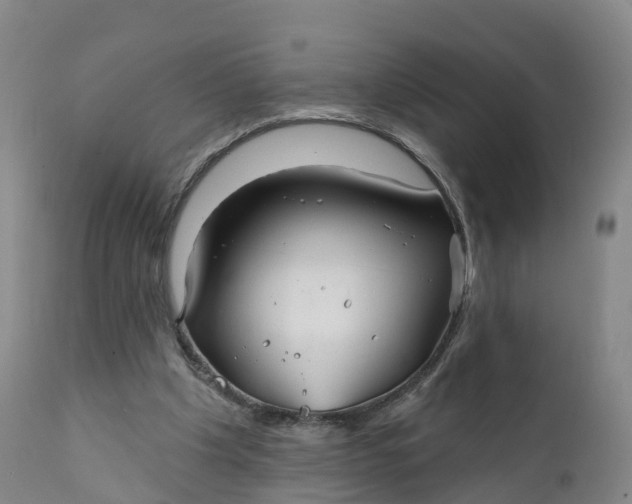 X0000111820201200908131530