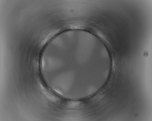 X0000111820202200908131530