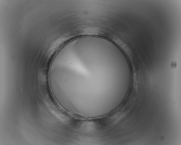 X0000111820203200908131530