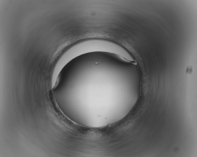 X0000111820207200908131530