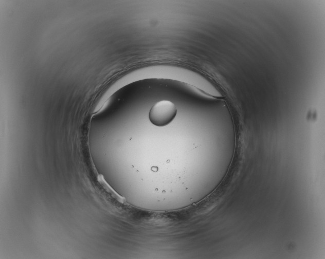 X0000111820209200908131530