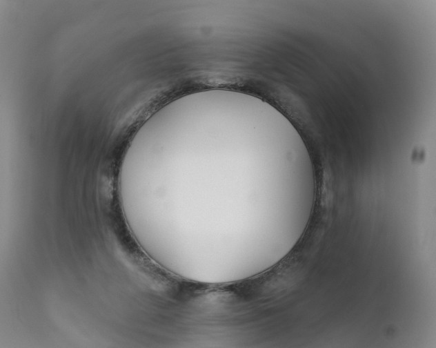 X0000111820210200908131530