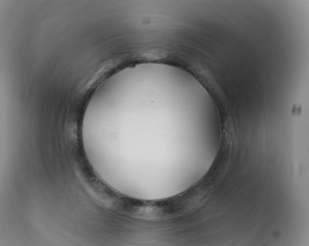 X0000111820212200908131530