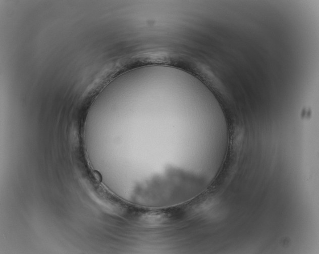 X0000111820213200908131530