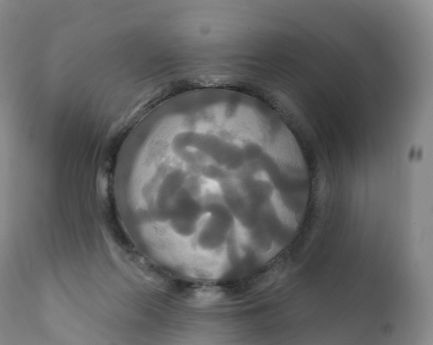 X0000111820214200908131530