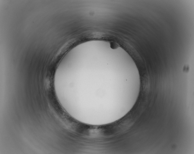 X0000111820216200908131530