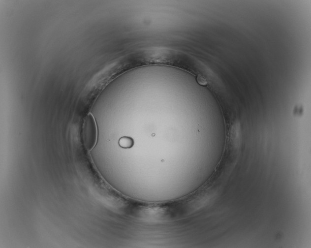 X0000111820217200908131530