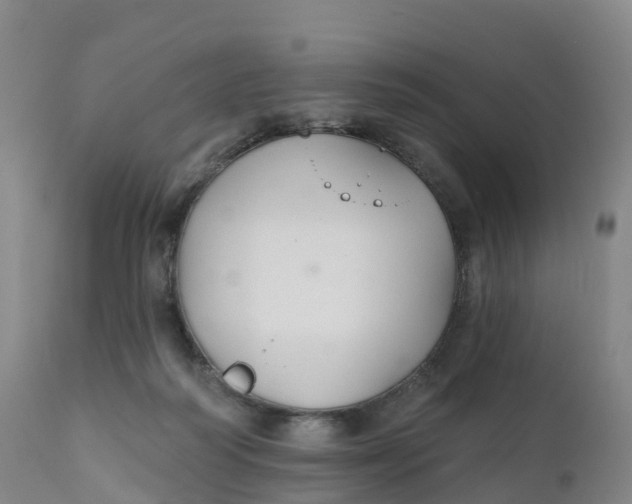 X0000111820218200908131530