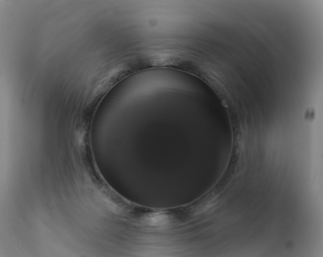 X0000111820219200908131530