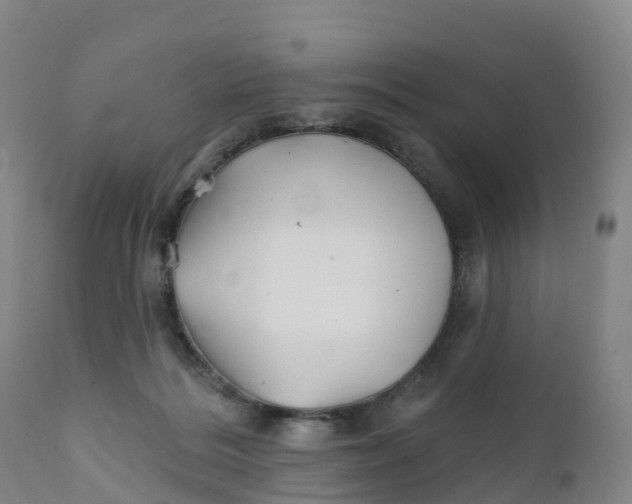 X0000111820220200908131530