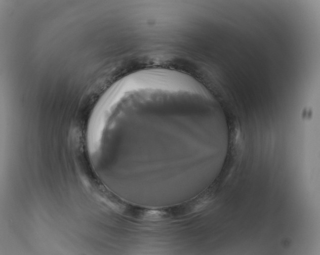 X0000111820222200908131530