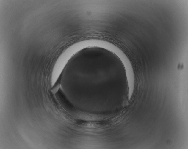 X0000111820223200908131530