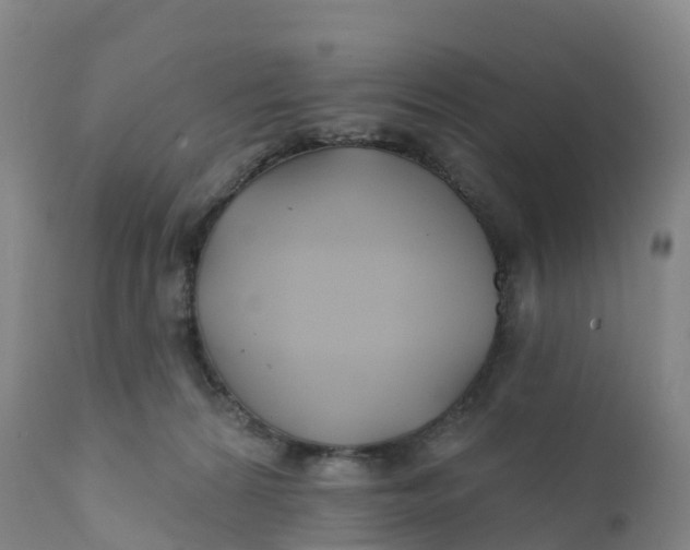 X0000111820224200908131530