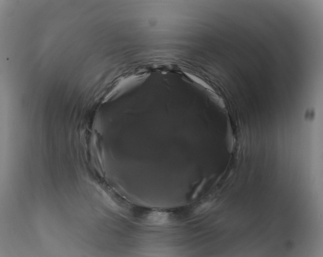 X0000111820227200908131530