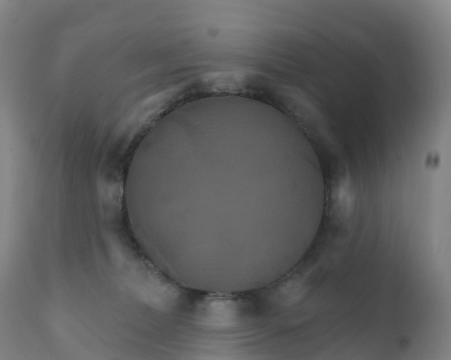 X0000111820228200908131530