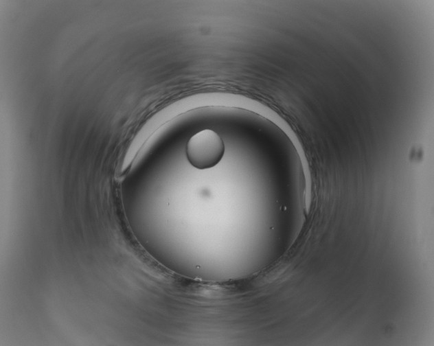 X0000111820229200908131530