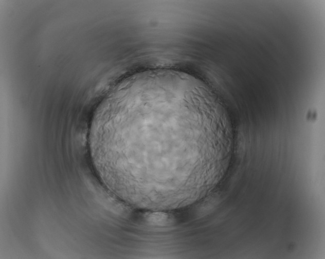 X0000111820230200908131530