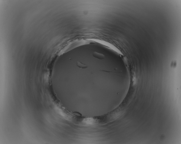 X0000111820231200908131530