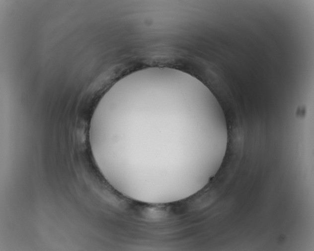 X0000111820232200908131530