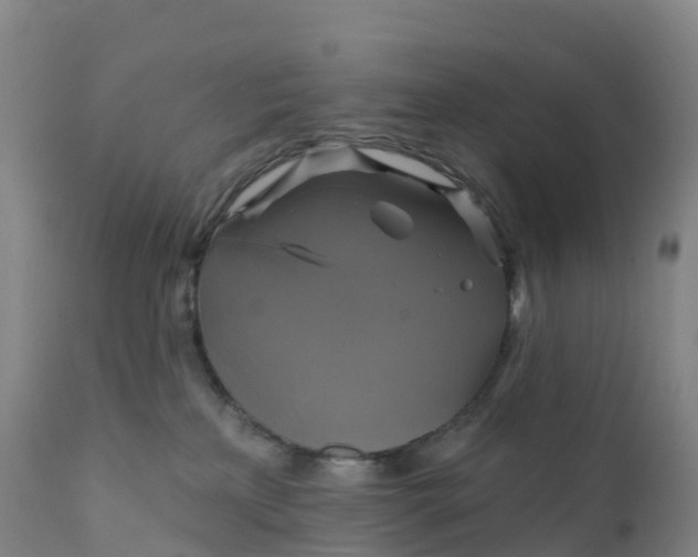 X0000111820233200908131530