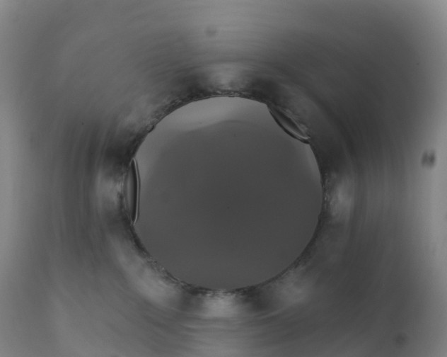 X0000111820235200908131530