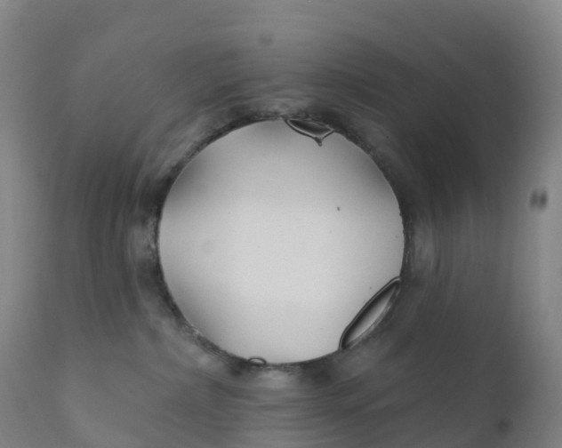 X0000111820236200908131530