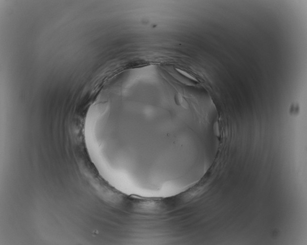 X0000111820237200908131530