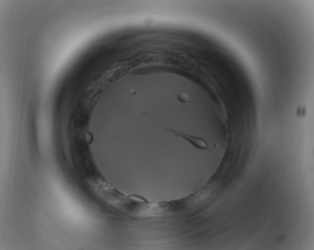 X0000111820239200908131530