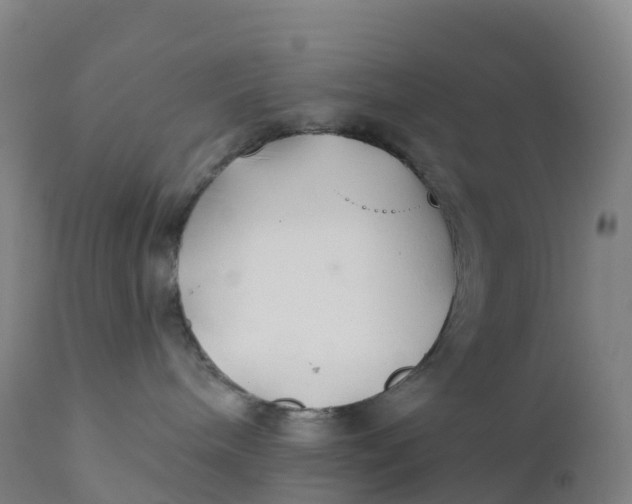 X0000111820240200908131530