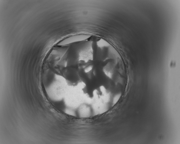 X0000111820241200908131529