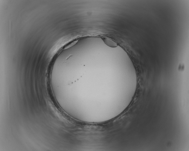 X0000111820242200908131529