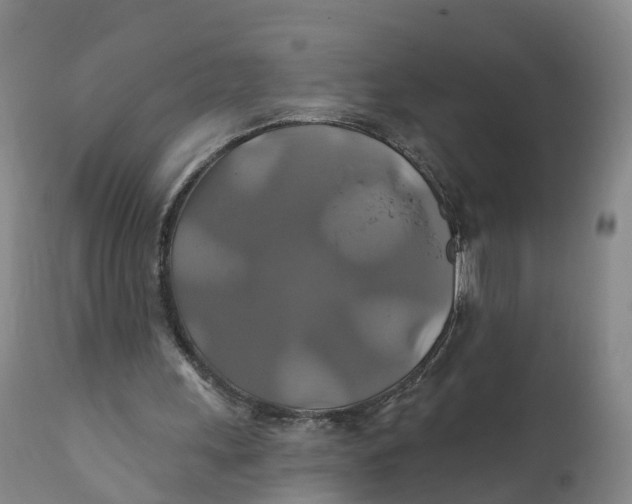 X0000111820243200908131529