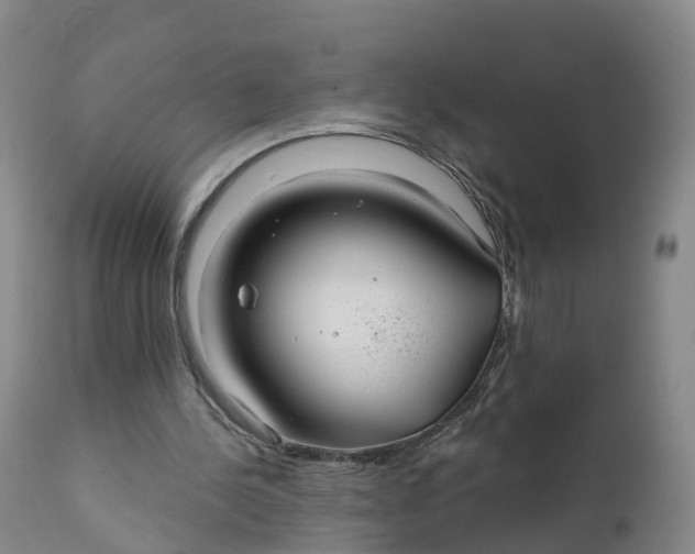 X0000111820244200908131529