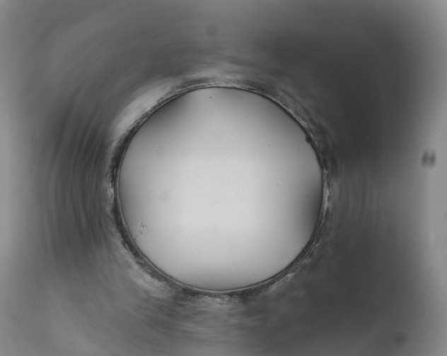 X0000111820245200908131529