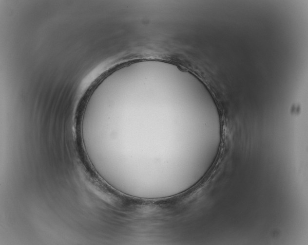 X0000111820246200908131529