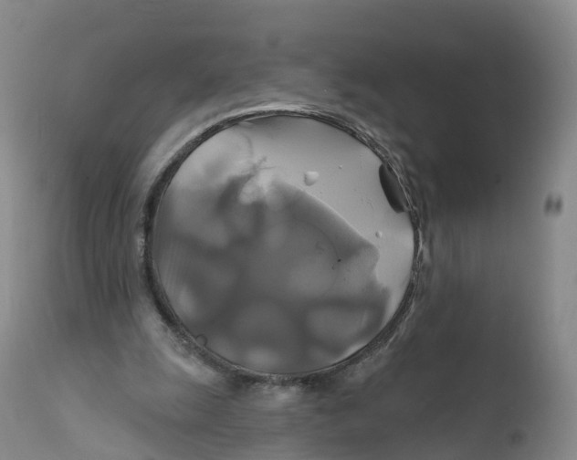 X0000111820247200908131529