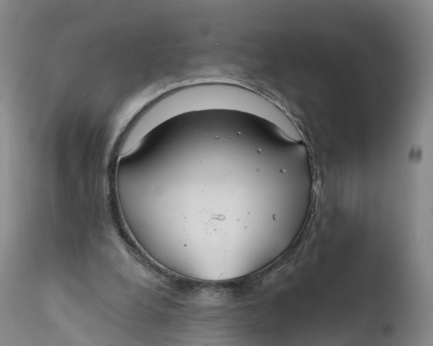 X0000111820248200908131529