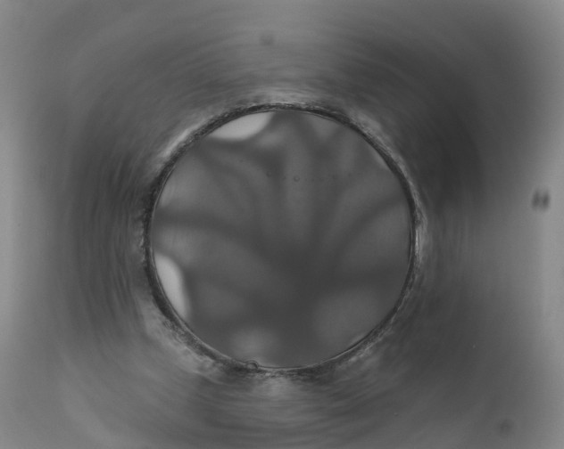 X0000111820249200908131529