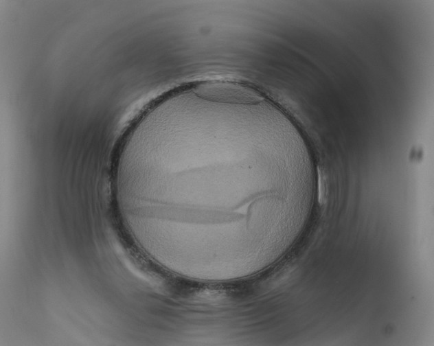 X0000111820252200908131529