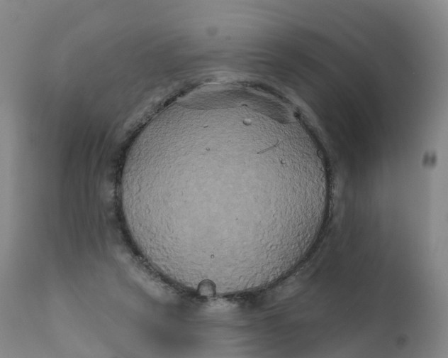 X0000111820257200908131529