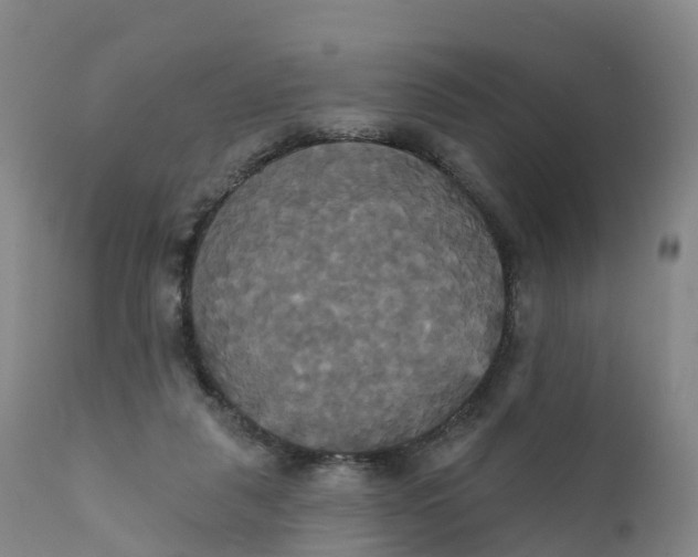 X0000111820259200908131529