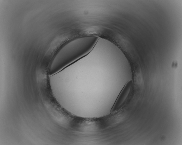 X0000111820260200908131529