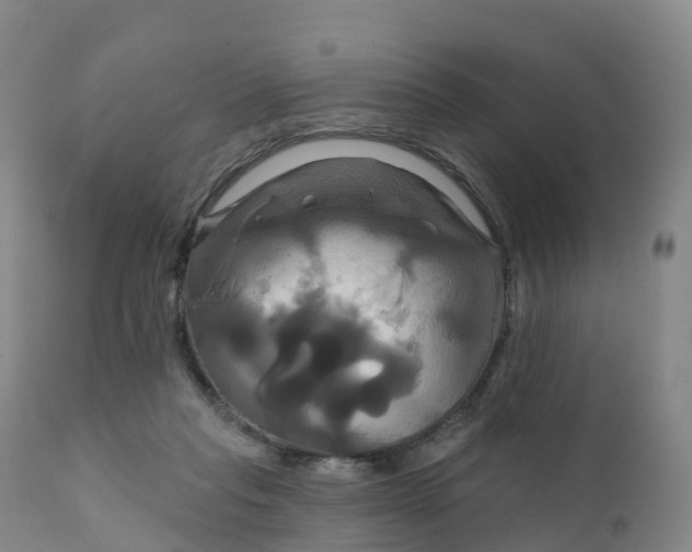 X0000111820261200908131529