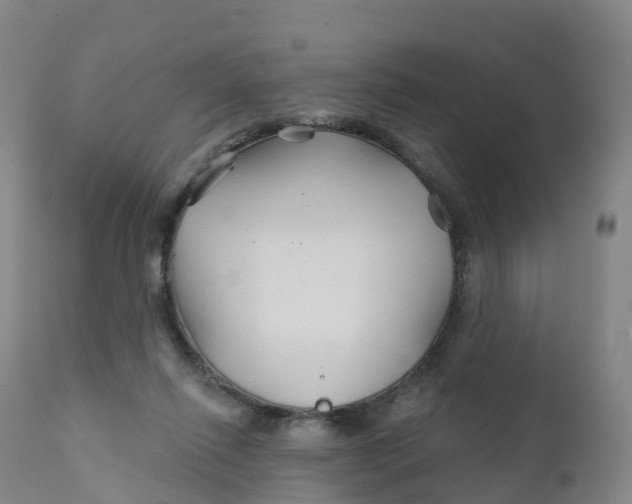 X0000111820262200908131529